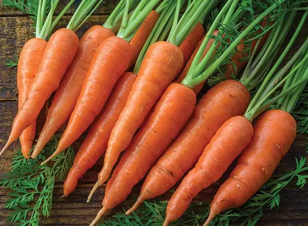 a picture of some random carrots